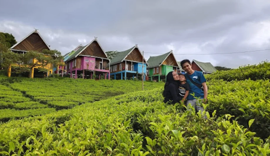 kebun teh pagar alam